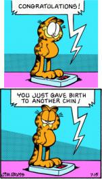 Garfield_scale_3_8471.png