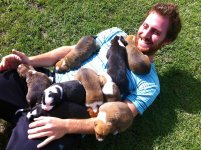 Jake Gyllenhaal mobbed and tickled to death by puppies.jpg