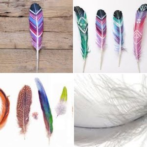 tickle tools & feathers