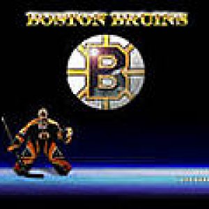 Boston Bruins North East Division Champions 2008-2009