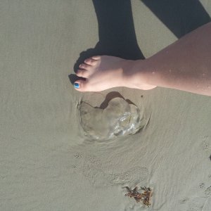 smaller jelly and my sexy foot!!!