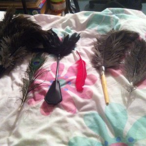 Feathers tool kit ;-)