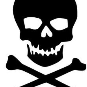 skull pirate jolly roger crossbones4