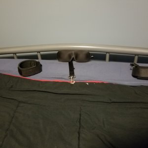 Finally got some much needed bed restraints ; )