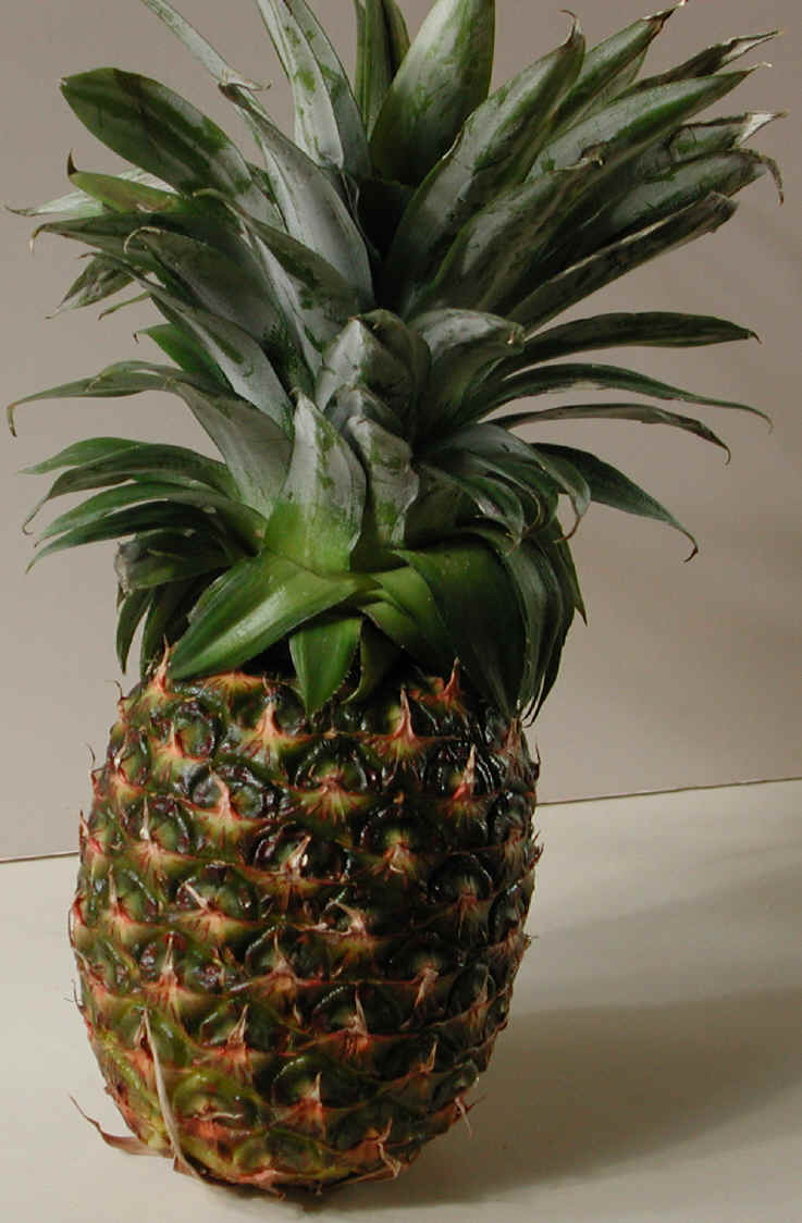 i-pineapple.jpg