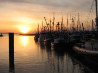 Steveston sunset.JPG