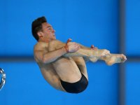 tom-daley-london-aquatics-centre-diving_3298940.jpg