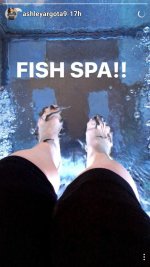 Ashley-Argota-Feet-2589658.jpg