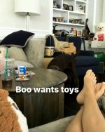 Sarah-Hyland-Feet-2843257.jpg