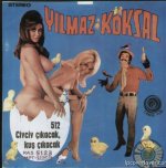 02911c8bdad74335f6479f38c26c2815--worst-album-covers-lp-covers.jpg