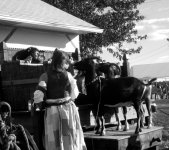 Wrightstown Faire Goat Tickling.jpg