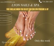 lyon nails and spa.jpg