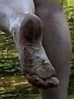 V muddy sole.jpg