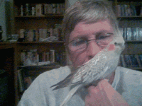 First bird .gif