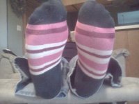 socks9.jpg