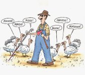 Thanksgiving%20cartoon.gif