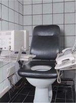 executive toilet.jpg