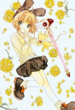 CCS - Sakura 007.jpg