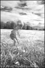 in_field_may03-10+infrared_sm.jpg