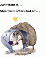 bad day part 1 - funnies005.gif