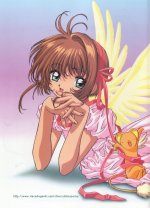 ccs_sakura129.jpg