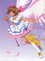 ccs_sakura113.jpg