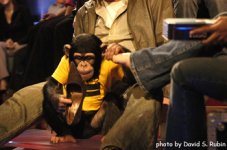 mikeymonkey2_020405.jpg