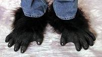 feet.jpg