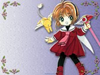 ccs01x2.jpg