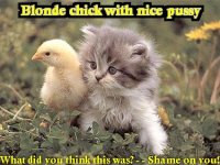 Blond Chick.jpg