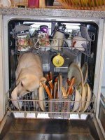 doggy dishwasher.jpg