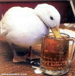 Drunk Drunk Goose.jpg