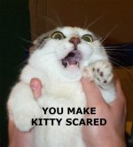 Kitty Scared.jpg