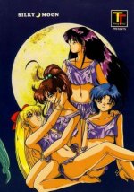 Sailor Senshi 019.jpg