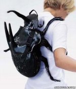 backpack_insect.jpg