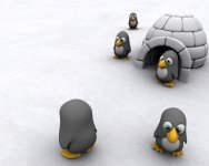 penguins.jpg