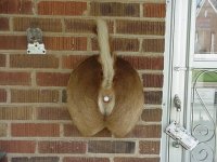 RedneckDoorbell.jpg