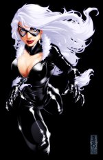 Black Cat 009.jpg