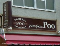 PumpkinPoo.jpg