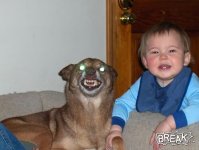 demon dog.jpg