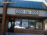 doo the dog.jpg