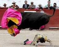 matador.jpg