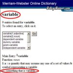 online dictionary - variable.jpg