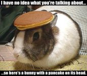 Pancake bunny.jpg