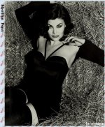 sherilyn011.jpg