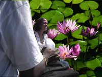 Water lilies.jpg