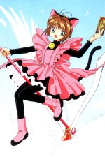 ccs_cards_04.jpg