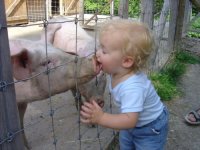 kissing a pig.jpg