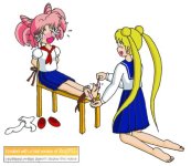 Sailormoon & MiniMoon.jpg