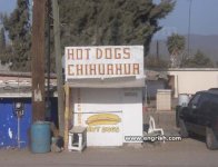 hot-dogs-chihuahua.jpg